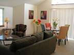 2 Bedroom 1 bath, $1150.00 in Chaska