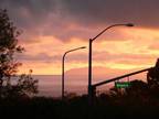 $2390 / 2br - 1095ft² - Brand New 2 Bedroom Ocean View, HUGE Patio