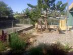 $1200 / 2br - 1 Mile to Plaza/Kiva Fireplace/Light and Bright