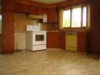 $550 / 2br - Spacious, Spotless, & Bright w/ Full Attic Storage (CARBONDALE -