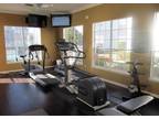 $935 / 2br - ft² - Enjoy your 2 BR 2 BA Home with your full size Wash/Dryer!
