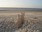 $850 / 2br - August week at Hilton Head condo by ocean, 3 pools