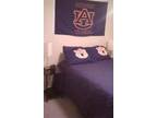$600 / 3br - 3 bathroom condo, sleeps 6-8, 20 minute walk to stadium (North Ross