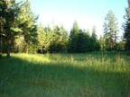 6 Treed Acres! Well, Septic, Power, Phone!