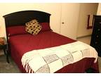 $795 / 2br - $99 deposit on approval of credit & 1st month rent free!!