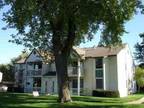 $585 / 2br - CONDOMINIUM FOR RENT (GRAND HAVEN) 2br bedroom