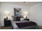 $950 / 2br - 864ft² - Newly Renovated Townhome in Great Location!