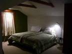 $60 / 1br - 300ft² - Luxury suite with private bath near The Biltmore Estate