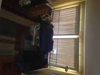 $ / 3br - 1610ft² - 3BEDROOMS, 2 BATHS GORGEOUS TOWN HOUSE WITH BEAUTIFUL