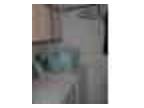 $1350 / 3br - 3 Full Bath Eastside Condo (Christmas Tree) (map) 3br bedroom