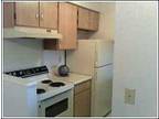 $525 / 1br - NO RENT UNTIL DECEMBER!! (Okemos Station Apts) (map) 1br bedroom