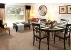$1029 / 1br - 730ft² - Apartment Downtown!!!