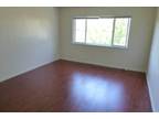 $1325 Remodeled Studio with Backyard Views