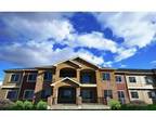$742 / 1br - 800ft² - NEW 1Bd 1Ba Apt! Stainless Steel, Hardwood