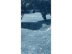 Two Mobile Home Lots for Rent