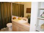 $460 / 1br - 475ft² - ALL-BILLS-PAID STUDIO APT (Waterstone Place) (map) 1br