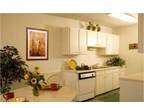 $909 / 2br - 900ft² - ~WE WANT YOU ON OUR FUTURE RESIDENT CLUB!~ (AVALON