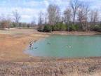 Property for sale in Campobello, SC for
