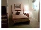 Furnished Studio Sublet Month to Month Lease!