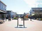 $200 / 2br - 1200ft² - Living room has a queen sofa bed. Sleeps 6