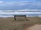 $79 / 1br - Special! Oceanfront Newly renovated,Frplc, Pets OK,BBQ's