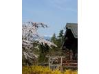 Pacific Willow Lodge **Memorial Day Weekend special!
