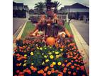 $685 / 1br - 630ft² - Cypress Cove Apartments are the best in Mobile!