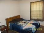 $75 / 1br - Cheap Room for Derby (shared apartment) (Louisville-bardstown rd)