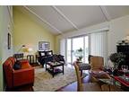 450ft² - Large Luxury Studio w/Garage