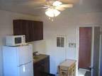 Fully Furnished Efficiency (Richfield)