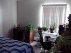 $650 / 1br - 527ft² - Amazing 1BR/1BA Available in Broomfield (FlatironPark)
