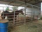 Property for sale in Parma, ID for