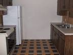 $325 / 1br - 600ft² - Great 1 Bdr Apts in Latham, IL