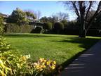 $1800 / 1br - Fireplace Unit w/Private Patio *reduced rent for onsite manager*