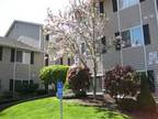 $625 / 2br - 903ft² - **THE BEST DEAL IN TOWN! 2BDRM/2BTH APT FOR RENT ~