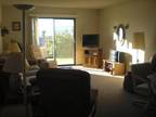 $900 / 2br - 1000ft² - 2 BDR, 2 Bath Fully Furnished Floor level Condo