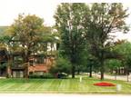 $775 / 2br - Get This Upgraded Apartment Before Its Gone! (Midland) 2br bedroom