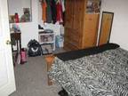 $ / 5br - (AUGUST) CLOSE TO PITT OR POINT PARK PLAY HOUSE (2 CAR GARAGE) (map)