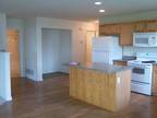 $1125 / 3br - Light and Open 3BR/2BA (Bozeman) (map) 3br bedroom