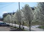 $599 / 2br - 2 bedrooms on Hulton Rd. Verona (Penn Hills/Verona) 2br bedroom