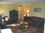 Beautifully Decorated & Updated Condo