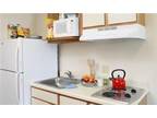 $189 / 1br - 350ft² - One Bed Studio $189 No Credit Check & $50 off of first