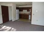 1br - OR 2BD NOW RENTING! (Mt. Carroll, IL) 1br bedroom