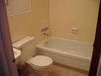 Spacious Studio Apt (Endicott)