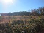 Property for sale in Campobello, SC for
