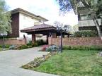 $1695 / 1br - 700ft² - BEST OF WEST MV! Remodeled! Walk to San Antonio Center