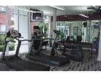 $985 / 1br - YMS237 GALLERIA LOFTS. 1x1 $985. w/d included.Non carpet floors.