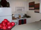 $859 / 1br - 533ft² - One Bedroom/ One Bathroom @ Great Rates (351 Foreman