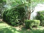 $1350 / 3br - 2877ft² - House for lease -- Close to UF- Available 1 March (1222