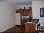 $1000 / 1br - 1200ft² - 1/1 furn .lakefront holston river